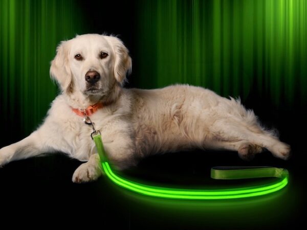 LED Hundesnor Pablo SAFELIGHT med grøn lys - 150 cm