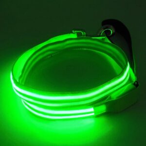 LED Hundesnor Pablo SAFELIGHT med grøn lys - 150 cm