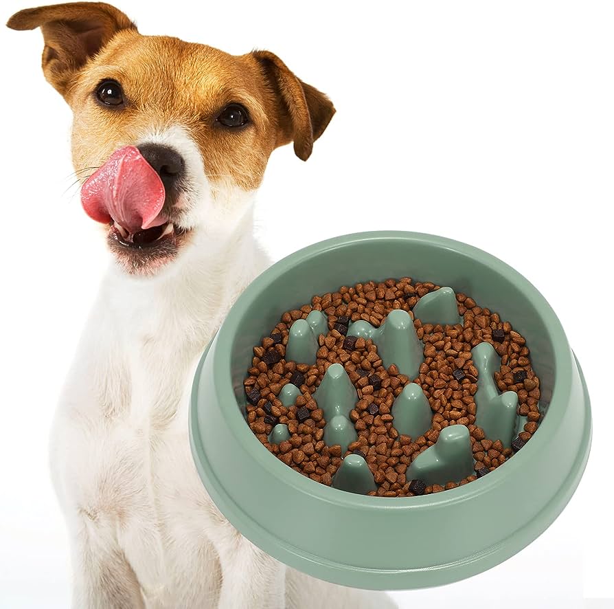 Slow feeder madskål til hunde
