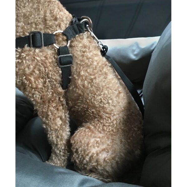 Comfy Autosæde Til Hunde